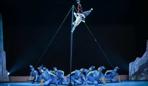 GRAN CIRCO ACROBÁTICO DE CHINA